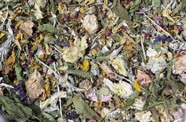 أعشاب مجففة
