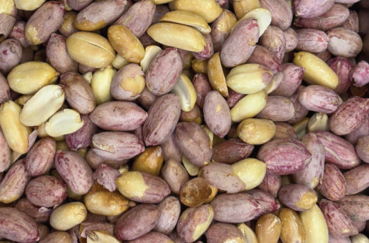 فستق سوداني